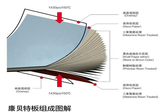 抗倍特理化板結構